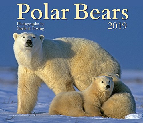 Stock image for Polar Bears 2019 for sale by Orbiting Books