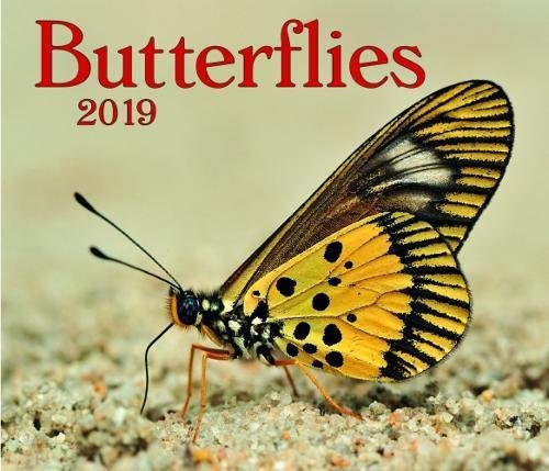 Stock image for Butterflies 2019 for sale by Orbiting Books
