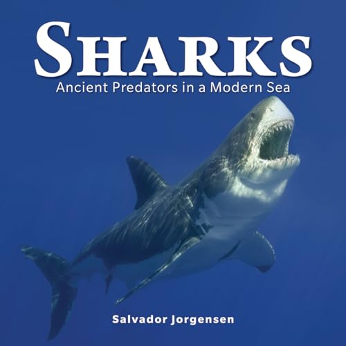 Stock image for Sharks: Ancient Predators in a Modern Sea for sale by Book Outpost