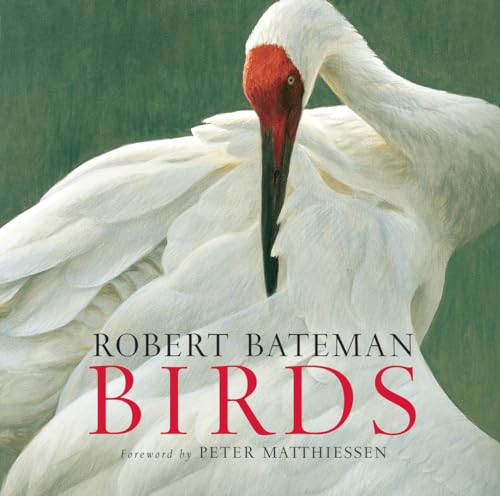 Beispielbild fr Birds zum Verkauf von Revaluation Books