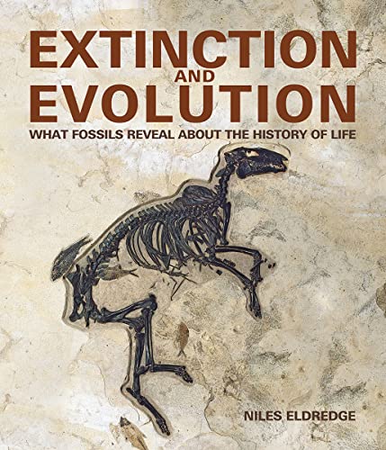 Stock image for Extinction and Evolution: What Fossils Reveal About the History of Life for sale by Book Outpost