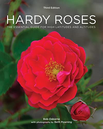 Imagen de archivo de Hardy Roses: The Essential Guide for High Latitudes and Altitudes a la venta por JEANCOBOOKS