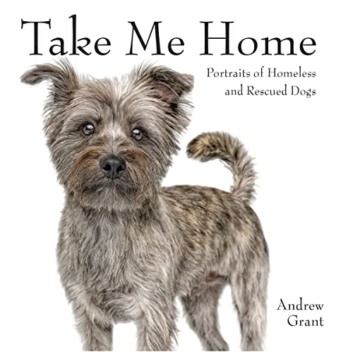 9780228103042: Take Me Home!: Rescue Dogs