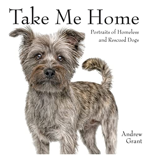 Stock image for Take Me Home: Rescue Dogs for sale by Magers and Quinn Booksellers