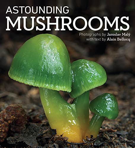 9780228103868: Astounding Mushrooms