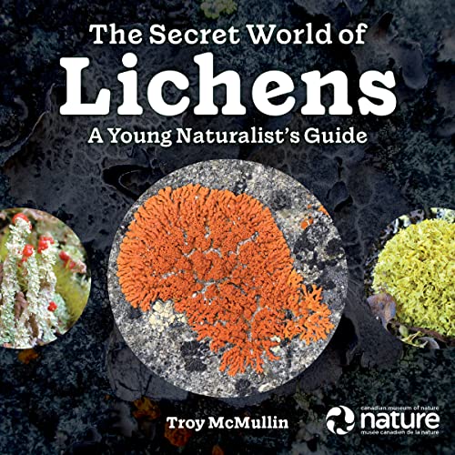 Imagen de archivo de The Secret World of Lichens a la venta por Blackwell's