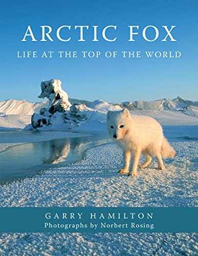

Arctic Fox: Life at the Top of the World (Paperback or Softback)