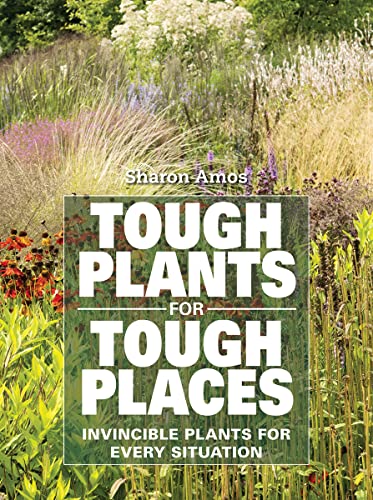 Imagen de archivo de Tough Plants for Tough Places: Invincible Plants for Every Situation a la venta por Books Unplugged