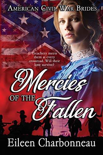 9780228613114: Mercies of the Fallen (American Civil War Brides)