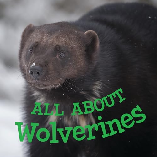 Stock image for All about Wolverines: English Edition for sale by ThriftBooks-Atlanta
