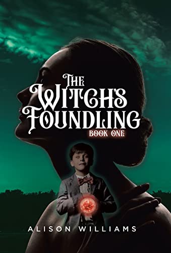 9780228881247: The Witch's Foundling