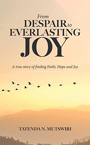 Stock image for From Despair to Everlasting Joy: A True Story of Finding Faith, Hope and Joy for sale by California Books