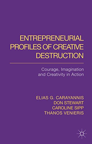 Stock image for Entrepreneurial Profiles of Creative Destruction: Courage, Imagination and Creativity in Action for sale by Kennys Bookshop and Art Galleries Ltd.