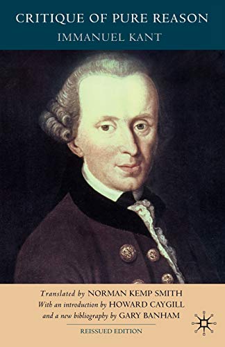 Imagen de archivo de Immanuel Kant: Critique of Pure Reason a la venta por G. & J. CHESTERS