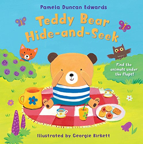 9780230014350: Teddy Bear Hide-and-Seek: A Lift-the-flap Book