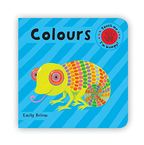 Beispielbild fr EMBOSSED BOARD BOOKS: Colours zum Verkauf von WorldofBooks