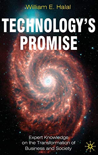 Beispielbild fr Technology's Promise: Expert Knowledge on the Transformation of Business and Society zum Verkauf von WorldofBooks