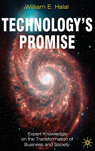Stock image for Technology's Promise: Expert Knowledge on the Transformation of Business and Society: Expert Knowledge on the Coming Transformation of Society for sale by Bahamut Media
