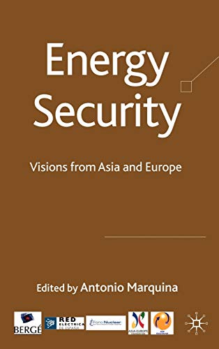 Imagen de archivo de Energy Security: Visions from Asia and Europe a la venta por Ergodebooks