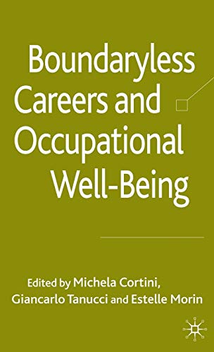 9780230236608: Boundaryless Careers and Occupational Wellbeing