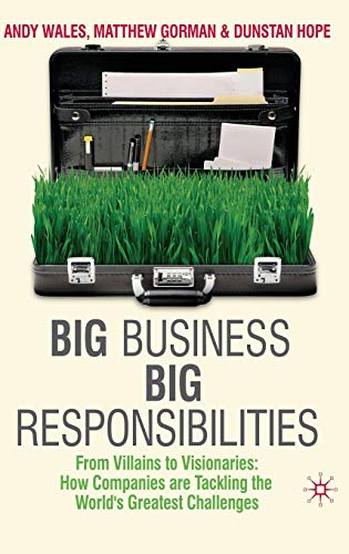 Imagen de archivo de Big Business, Big Responsibilities : From Villains to Visionaries - How Companies Are Tackling the World's Greatest Challenges a la venta por Better World Books