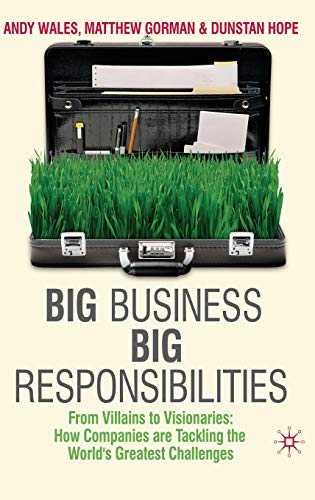 Stock image for Big Business, Big Responsibilities : From Villains to Visionaries - How Companies Are Tackling the World's Greatest Challenges for sale by Better World Books