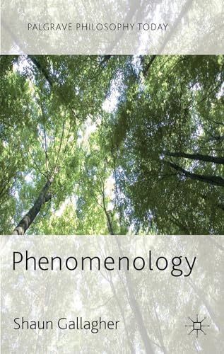 9780230272484: Phenomenology