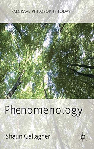 9780230272491: Phenomenology (Palgrave Philosophy Today)