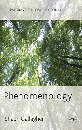 Stock image for Phenomenology (Palgrave Philosophy Today) for sale by BombBooks
