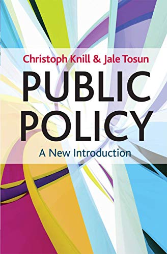 Imagen de archivo de Public Policy: A New Introduction a la venta por Iridium_Books