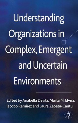 Imagen de archivo de Understanding Organizations in Complex, Emergent and Uncertain Environments a la venta por Books Puddle
