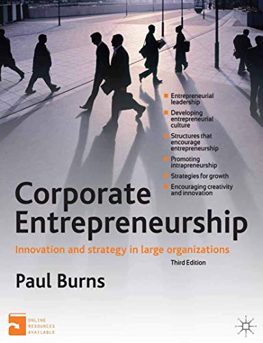 Stock image for Corporate Entrepreneurship: Innovation and Strategy in Large Organizations for sale by medimops