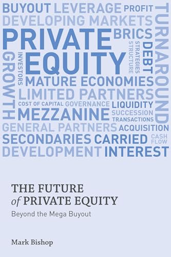 9780230354937: The Future of Private Equity: Beyond the Mega Buyout