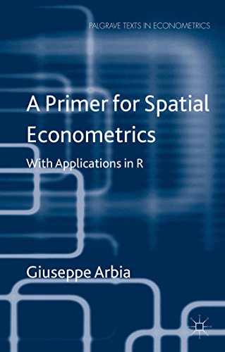 9780230360389: A Primer for Spatial Econometrics: With Applications in R (Palgrave Texts in Econometrics)