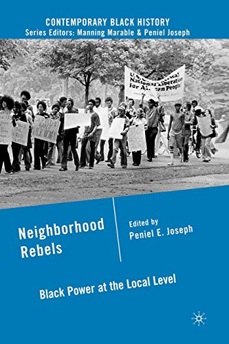 Stock image for Neighborhood Rebels: Black Power at the Local Level for sale by Ria Christie Collections