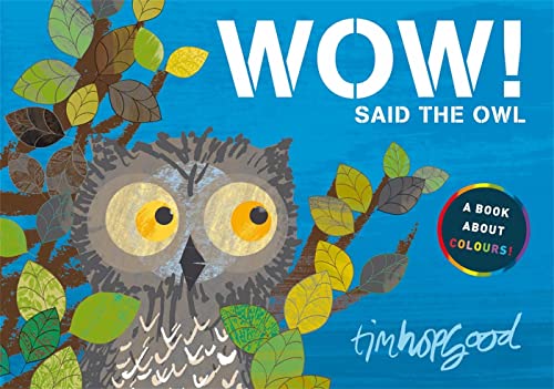 Stock image for WOW Said the Owl: A First Book of Colours for sale by WorldofBooks