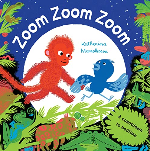 Stock image for Zoom Zoom Zoom for sale by WorldofBooks