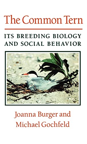 9780231075022: The Common Tern: Its Breeding Biology and Social Behavior