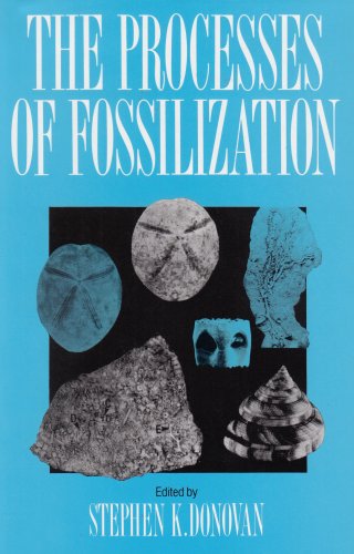 9780231076746: The Processes of Fossilization