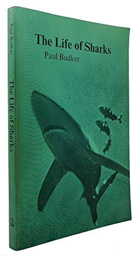 Imagen de archivo de The Life of Sharks a la venta por Unique Books