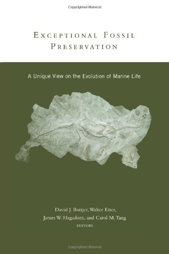 9780231102544: Exceptional Fossil Preservation: A Unique View on the Evolution of Marine Life (Critical Moments in Paleobiology and Earth History Series.)