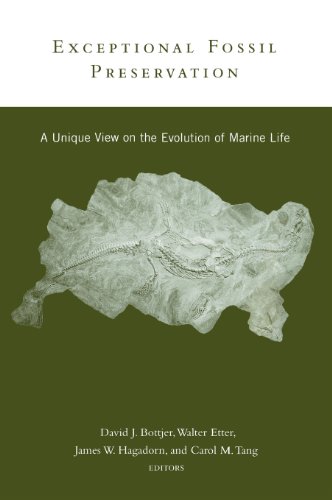 9780231102544: Exceptional Fossil Preservation: A Unique View on the Evolution of Marine Life