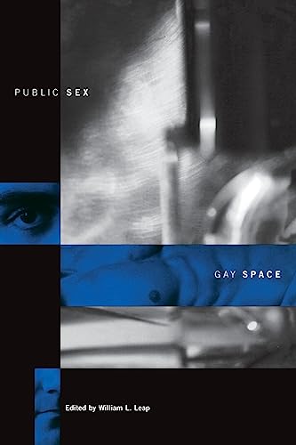 Imagen de archivo de Public Sex/Gay Space a la venta por Blackwell's