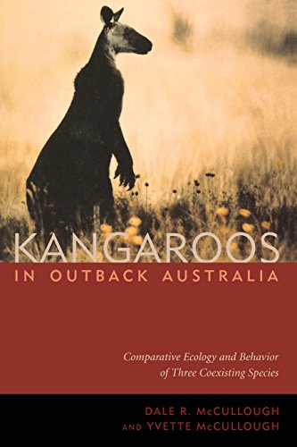 Beispielbild fr Kangaroos in Outback Australia Comparative Ecology and Behavior of Three Coexisting Species zum Verkauf von Chequamegon Books