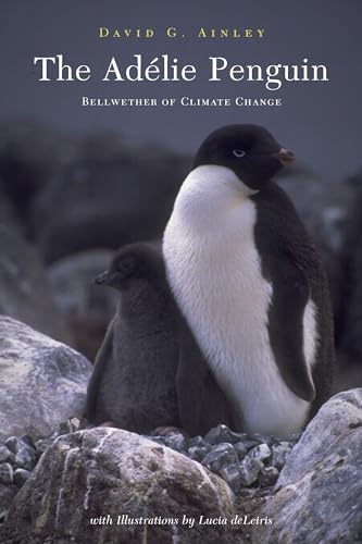 Stock image for The Adelie Penguin for sale by Treehorn Books