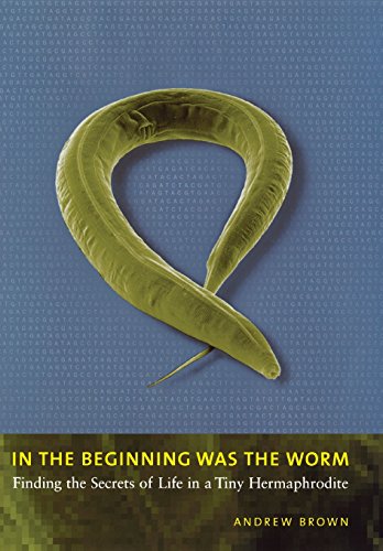 Beispielbild fr In the Beginning Was the Worm : Finding the Secrets of Life in a Tiny Hermaphrodite zum Verkauf von Better World Books