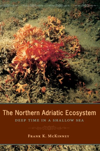 Beispielbild fr The Northern Adriatic Ecosystem : Deep Time in a Shallow Sea zum Verkauf von Better World Books
