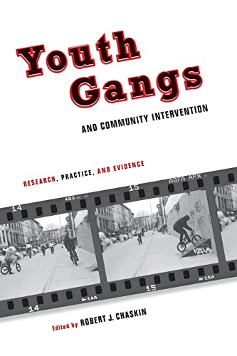 9780231146852: Youth Gangs and Community Intervention: Research, Practice, and Evidence