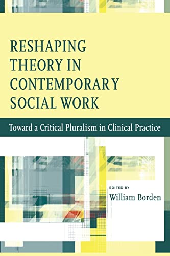 9780231147019: Reshaping the Domain of Theory in Social Work – Toward a Critical Pluralism in Contemporary Practice