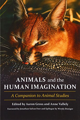 Beispielbild fr Animals and the Human Imagination zum Verkauf von Blackwell's